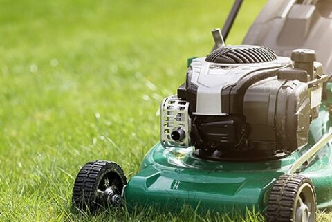 everything-you-need-to-know-about-lawn-mowing-f